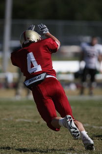 KAIYUN 中国大陆-五大联赛最具统治力的球队如何打造，五大联赛良心球队